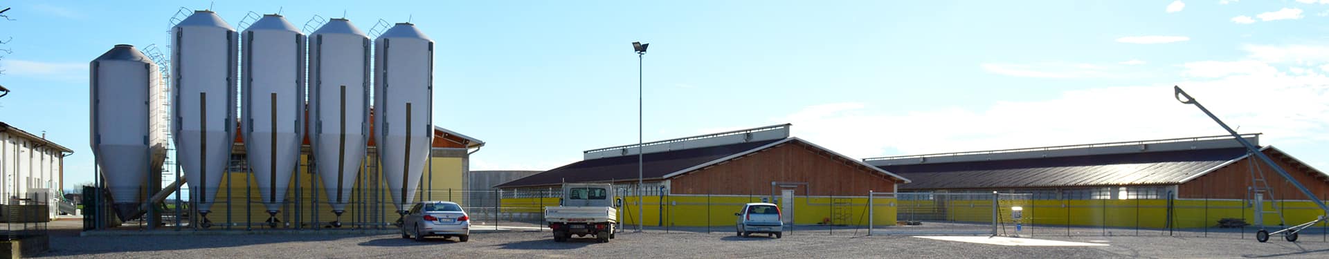 allevamento suini per porchetta artigianale