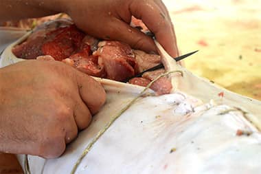 porchetta artigianale